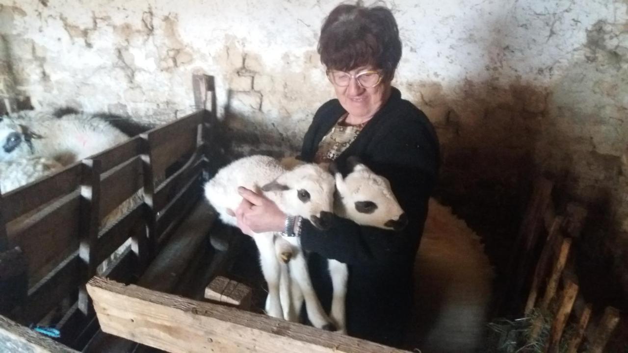 Bed and Breakfast Etno Selo Lelic Валево Экстерьер фото